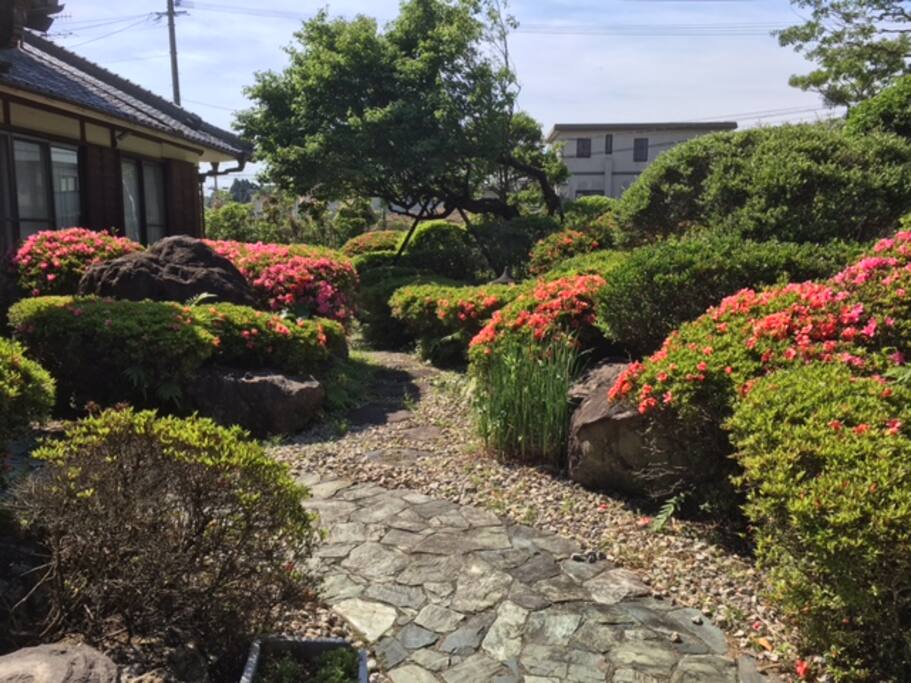 Japanese garden.