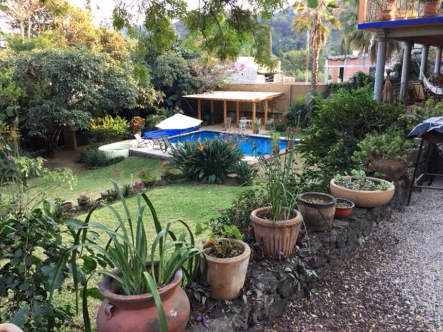 garden/ jardín