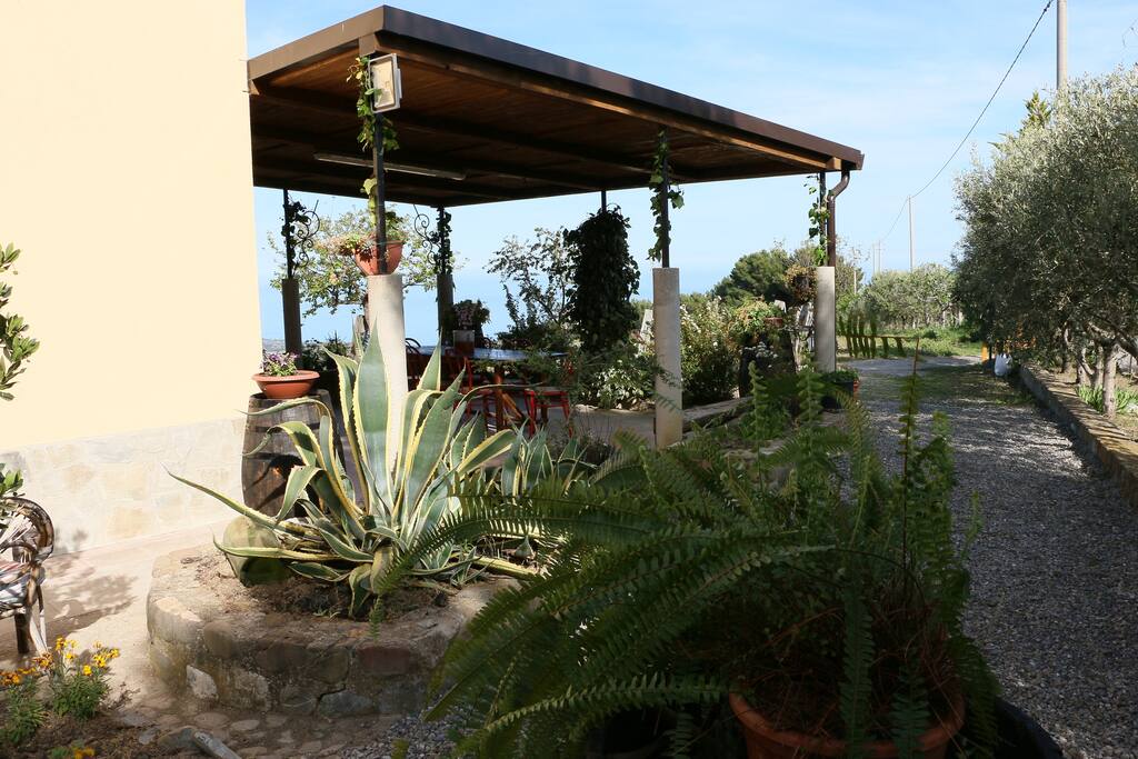 veranda colazione relax in comune