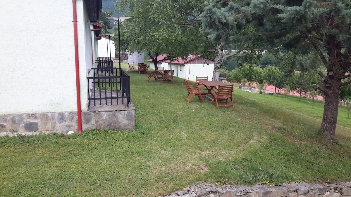 A green, grassy area is visible, featuring several wooden dining tables and chairs arranged for outdoor seating. The bungalows are set in the background, with mature trees providing shade. The space invites relaxation and gathering in a natural setting.
