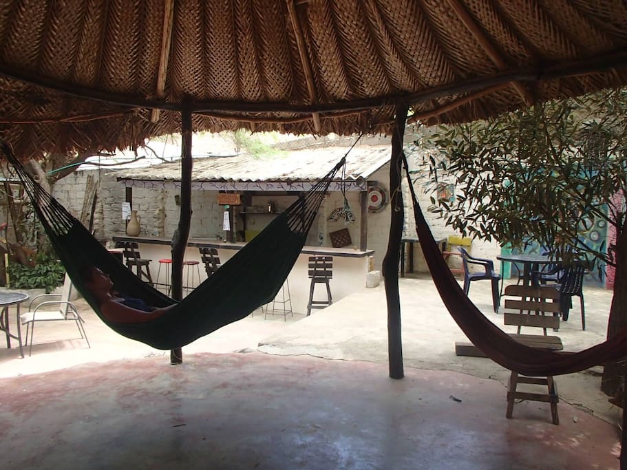 Backyard with hammocks