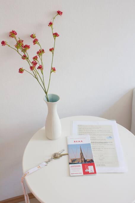 You receive all the informations about our apartment, a key and a city map in your mother-language or english.