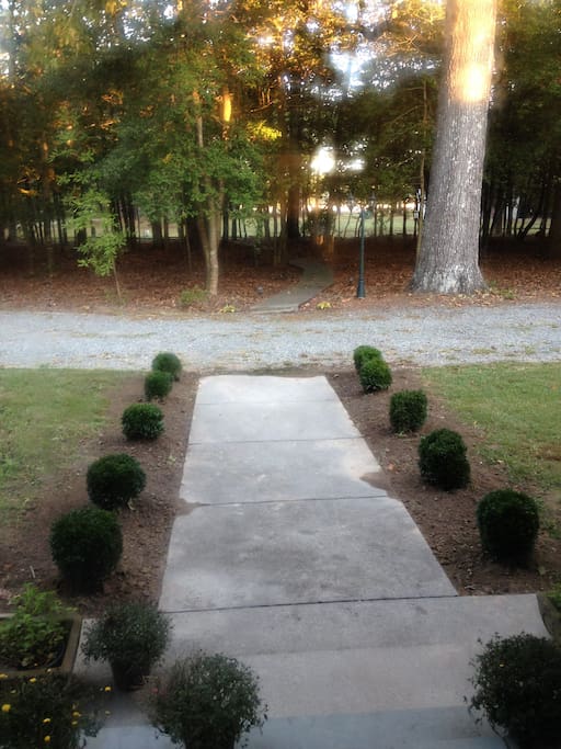 View, in the fall... looking from the front door.