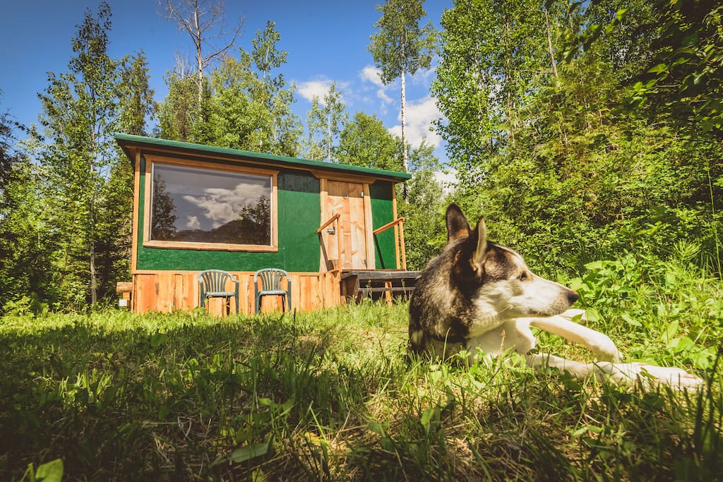 Dogs are welcome!