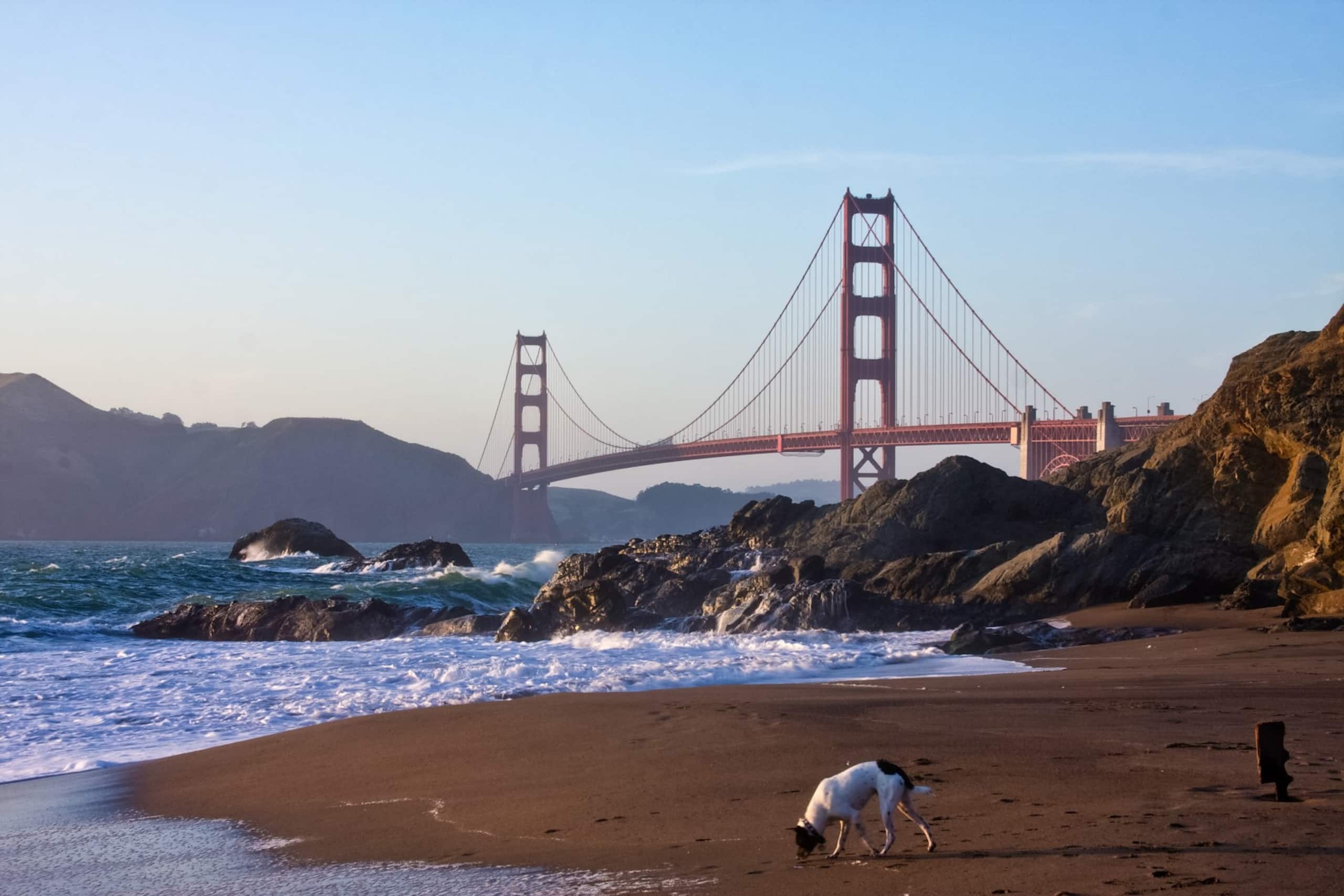 Home in San Francisco · ★4.98 · 4 bedrooms · 4 beds · 2.5 baths - Image 52