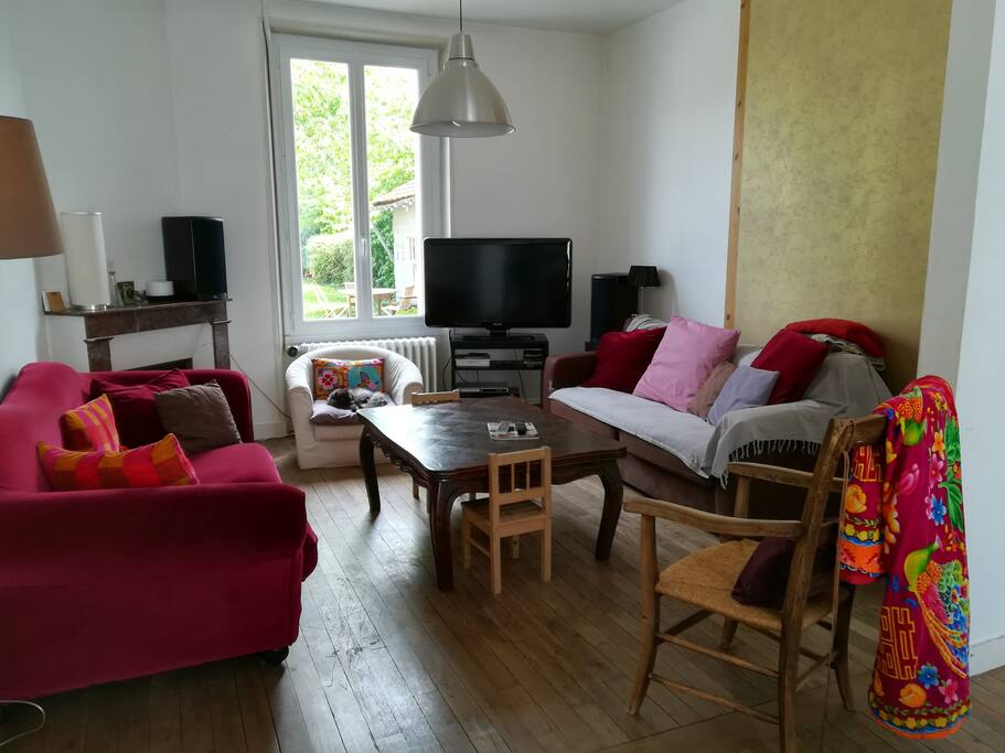 salon avec TV