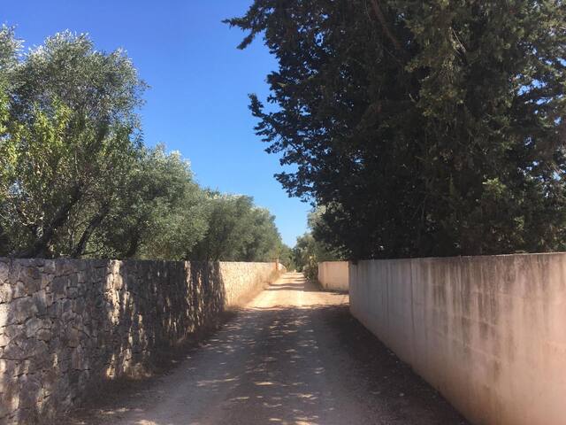 Villa Biancalamia gallery image 2