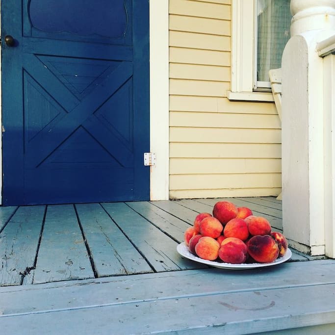 Some welcoming late summer peaches from my brothers trees ☀️