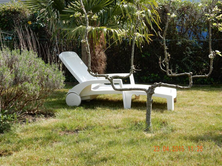 jardin arboré
