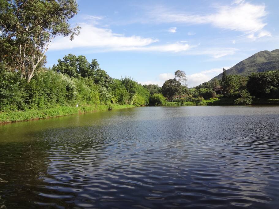 Lago
