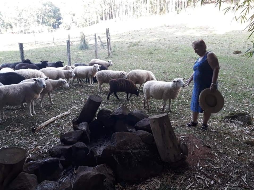 A woman is shown among a group of sheep grazing in a green, open area. A circle of large stones indicates a fire pit nearby. The surroundings are natural, with trees in the background and open pasture.
