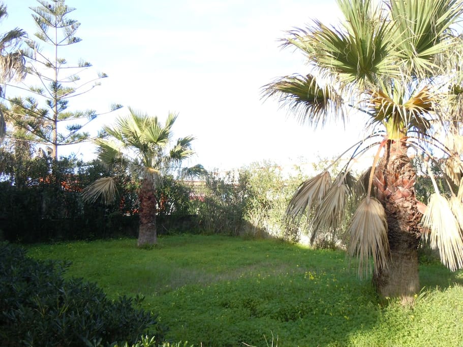 giardino