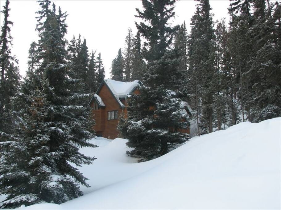 House nestled in the woods