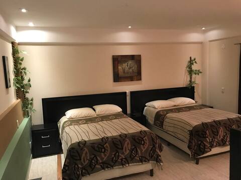 COMFORTABLE SPACE IN THE CENTER OF ALTONGA *