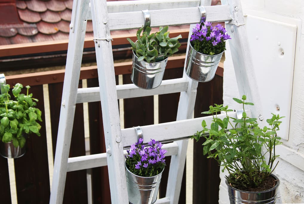 flowers & herbs
