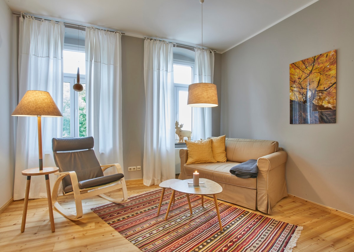 Top performing Airbnb: Chic apartment in the castle district in Chemnitz