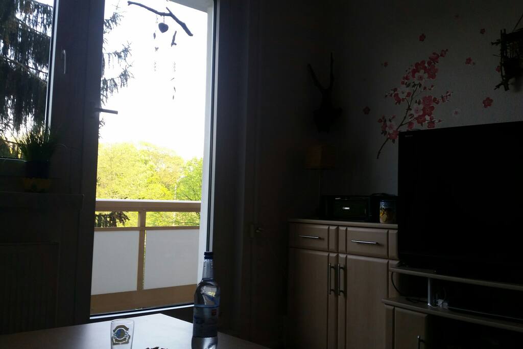 Das ist der Gemeinschafts-TV mit Austritt zum Balkon.