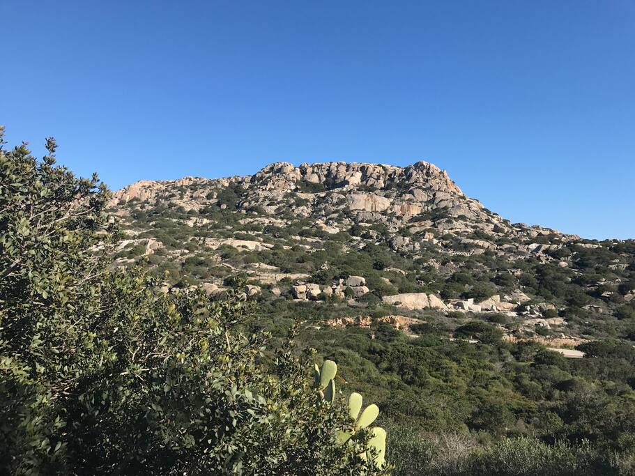 Vue vers la montagne. Changement des couleurs des rochers tout au long de la journée