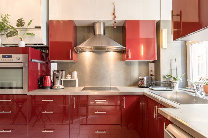 Appartement stylé du XIX siècle, bas des pentes de la X Rousse, Lyon Centre