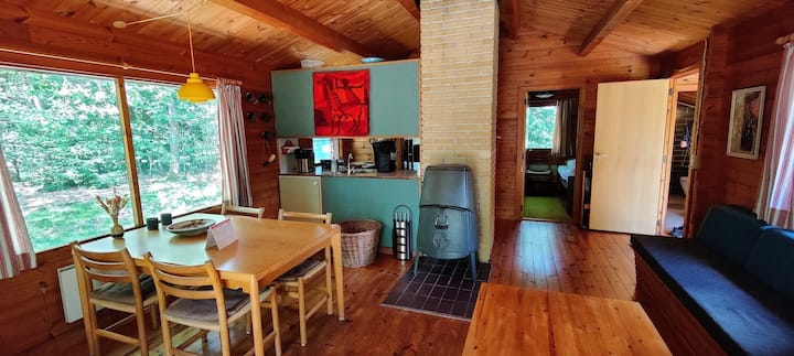 Udeliv Og Originalt Sommerhus Med Fælles Pool - Denemarken