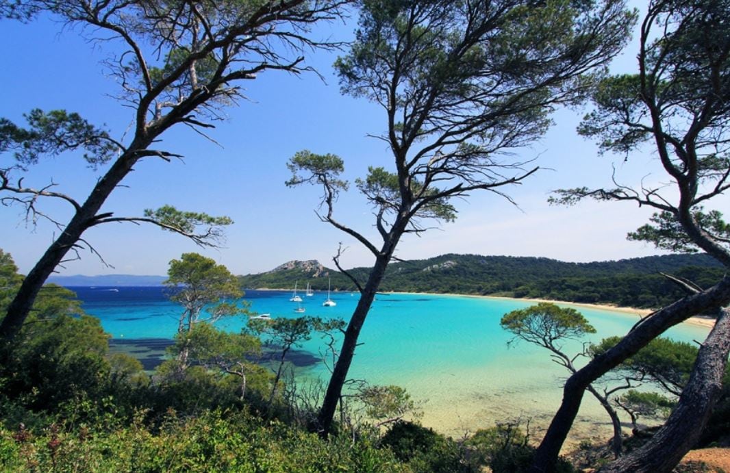 A coastal view featuring clear turquoise waters framed by lush green trees. The sandy beach is visible in the distance, with several sailboats anchored in the serene bay, inviting relaxation and exploration. The natural landscape showcases a blend of land and sea, emphasizing tranquility.