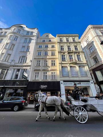 Vienna Culture Flat – Prime Location gallery image 4