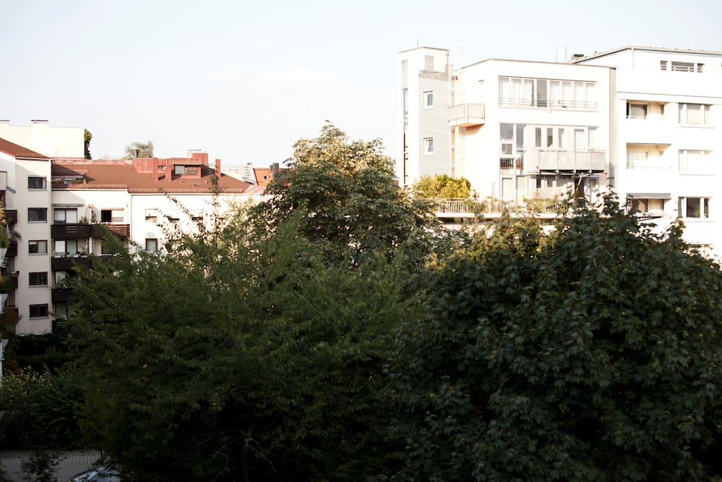 View from balcony
