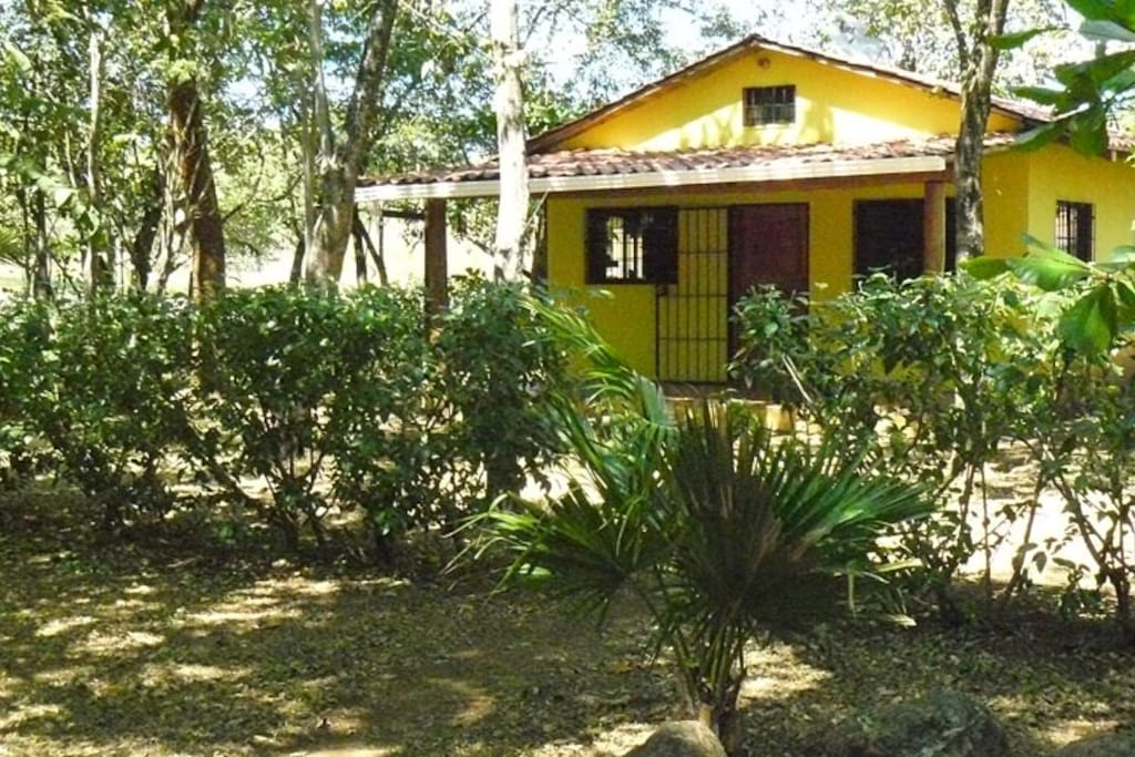 Outside view