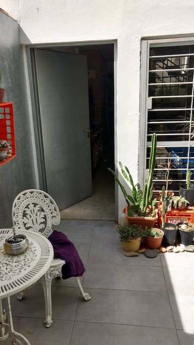 Patio, mesa y cactus.