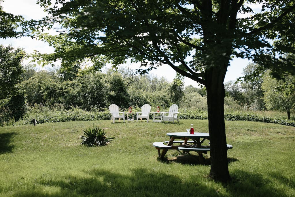 The backyard at Saving Grace offers a wildlife natural setting perfect for dining, entertaining, bird-watching or just enjoying the Michigan night skies (the shooting stars are incredible)