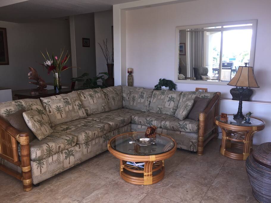 Living room with queen sofa bed - comfortable 5" memory foam mattress on sofa bed, plush mattress cover in closet.