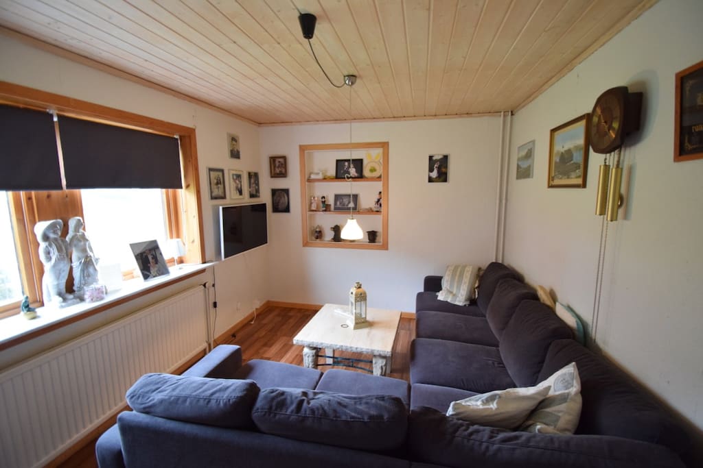 Living room with flatscreen tv