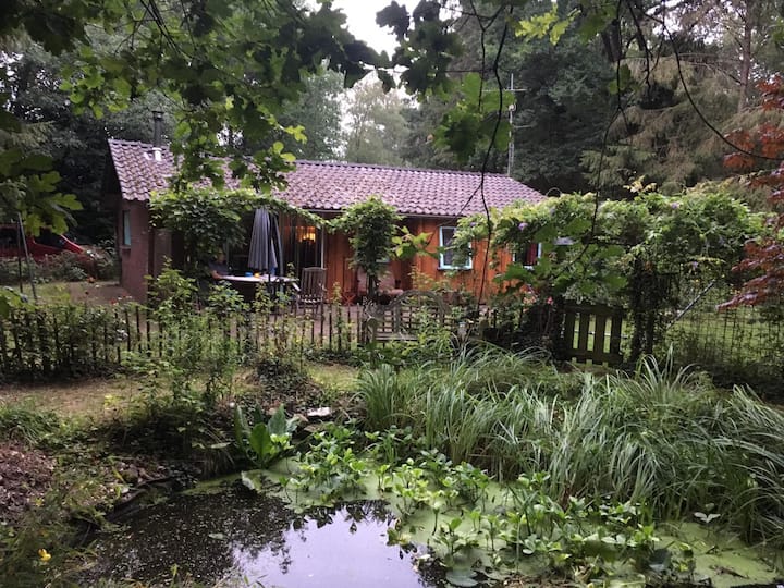 Cozy bungalow in nature.