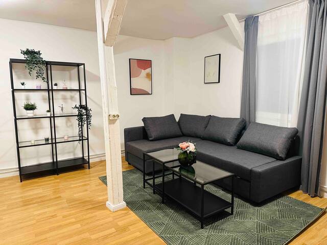 City Center Berlin |Mitte PRR “URBAN FLATS Berlin”