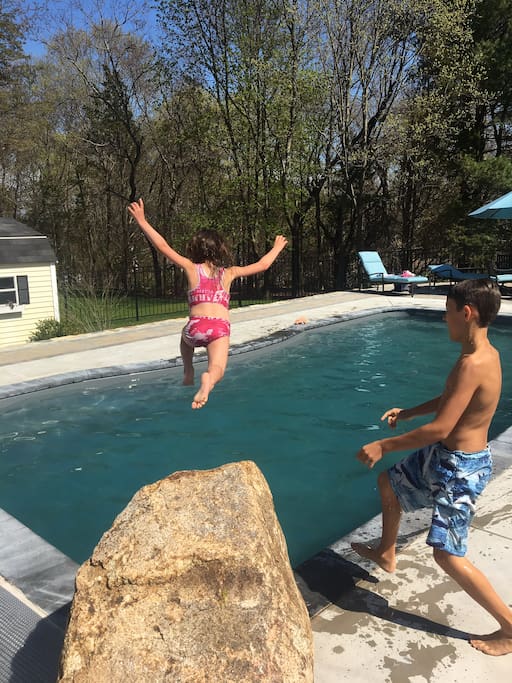 Saltwater pool with jump rock
