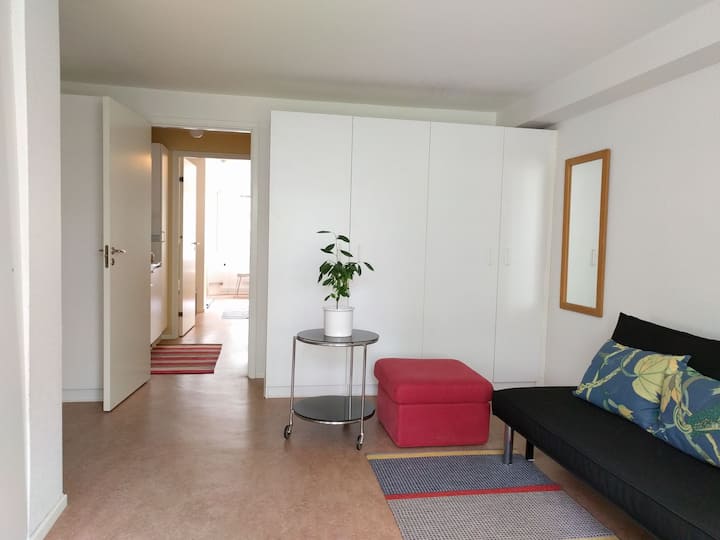 Downtown accommodation for 3 - 4 persons. Private kitchenette