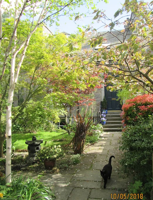 Front path with Inca