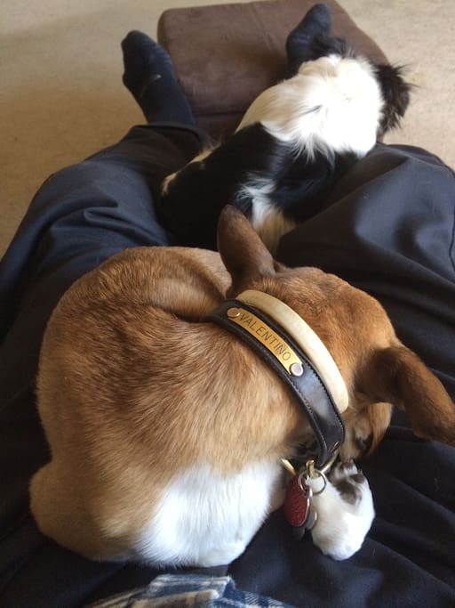 Lap warmers.