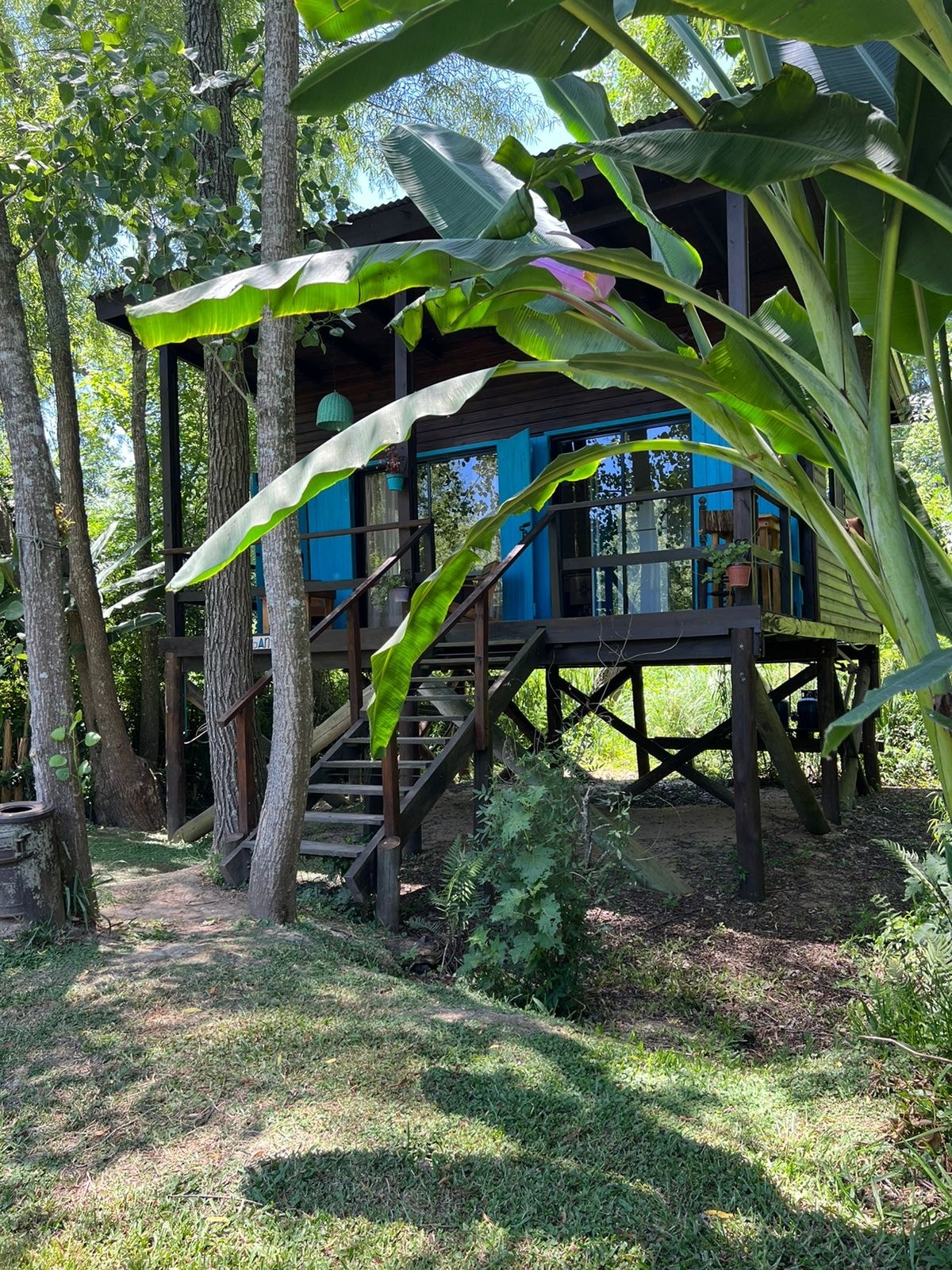 A newly built cabin is elevated on stilts, surrounded by lush greenery and large tropical plants. Stairs lead to a cozy entryway framed by vibrant blue doors, inviting visitors into the serene natural setting.