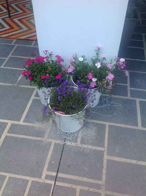 Spring flowers