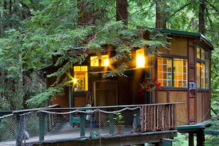 Redwood Treehouse Santa Cruz Mtns.