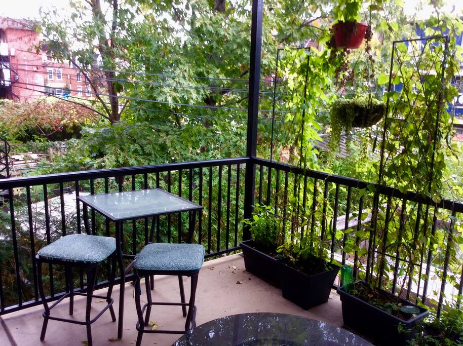 Jolie terrasse verte en été