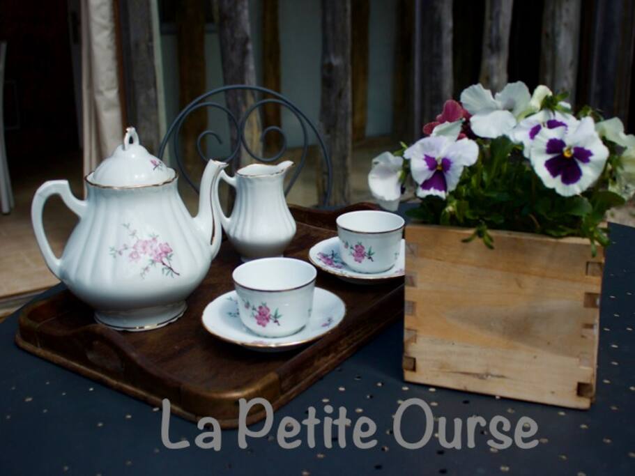 La petite Ourse