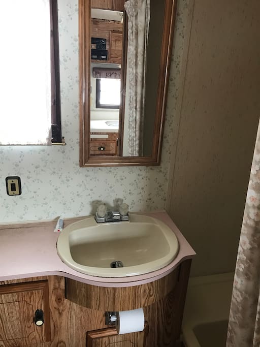 Bathroom sink