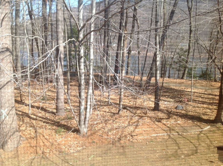 Early Spring view from back bedroom window with rived in the background