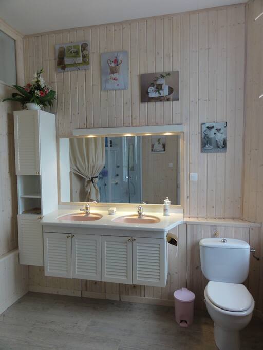 Salle de bains, la douche ce voit dans le miroir