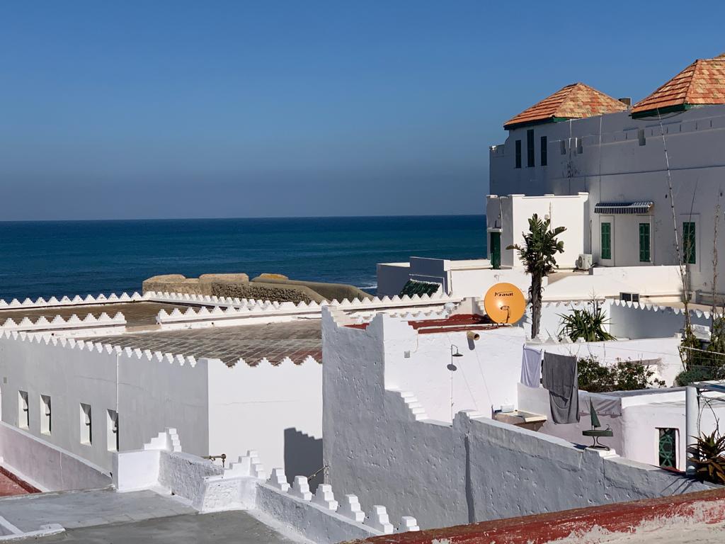 A panoramic view showcases whitewashed buildings with red roofs, extending toward the ocean. The blue sea meets the clear sky in the background, while terracotta pots and greenery adorn the rooftops, adding a touch of life to the serene coastal scene.