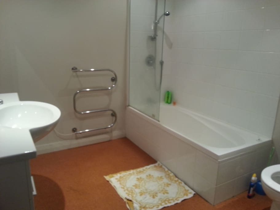 Large shared bathroom (no one else sharing currently)