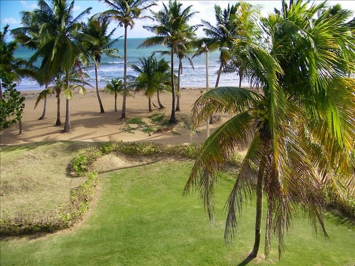 Relax right on the beach, steps from the ocean Apartments for Rent in