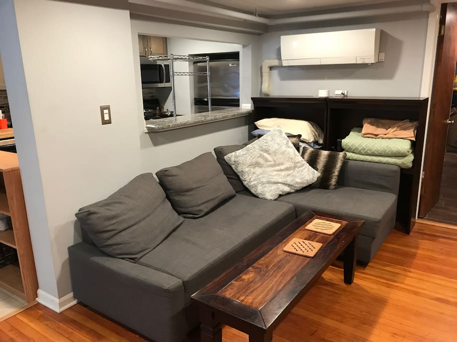 Living Room Area / Sleeper Sofa